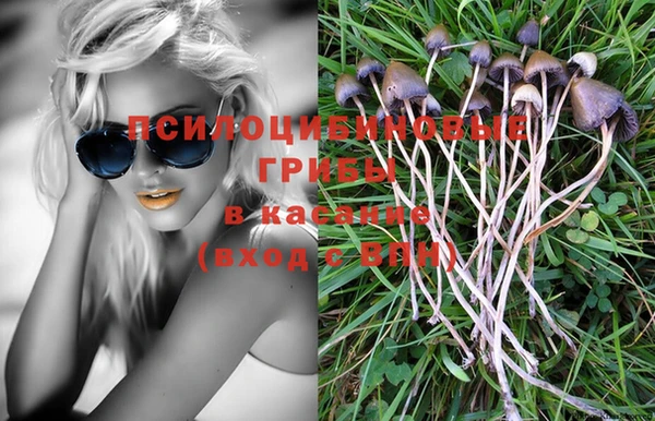 наркотики Богородицк