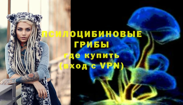Альфа ПВП Богданович