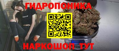 ешки Гагарин