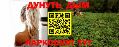 spice Гатчина
