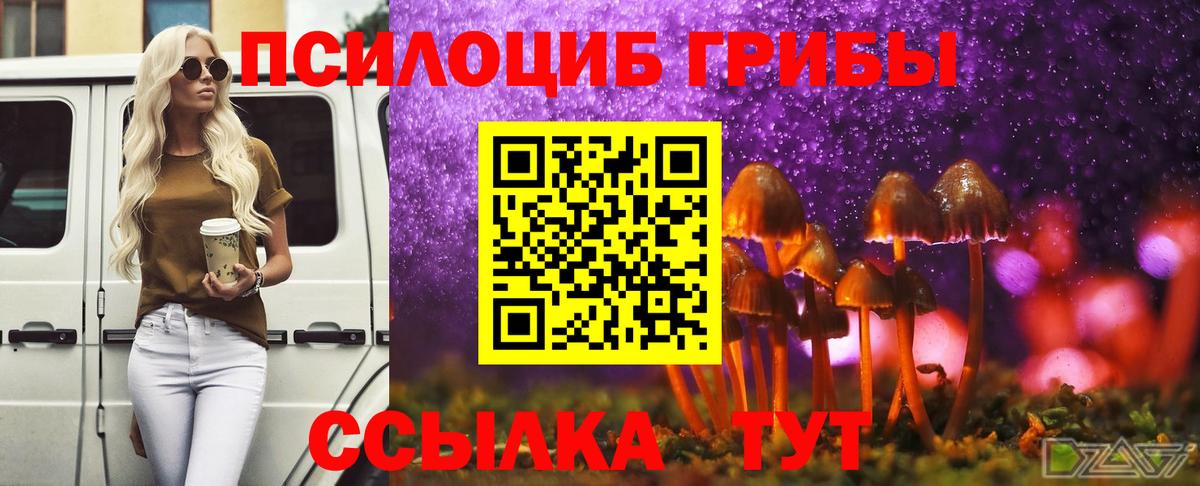 Галлюциногенные грибы мухоморы  Вход с VPN  Среднеуральск 